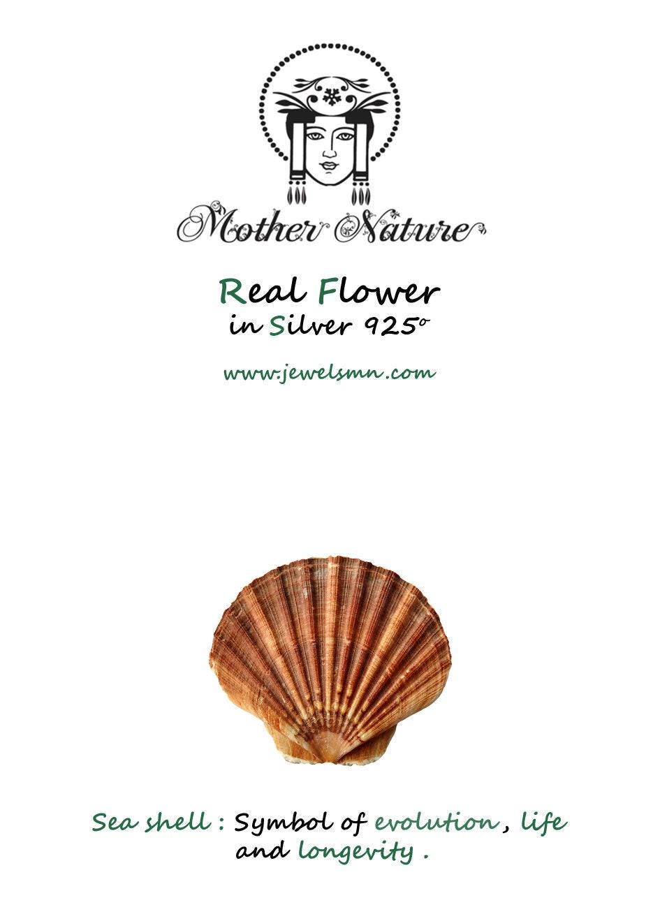 Sea Shell Earrings: Nature-Inspired Small Studs (Silver or Gold Plated)
