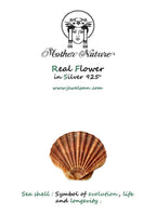 Sea Shell Earrings: Nature-Inspired Small Studs (Silver or Gold Plated)