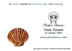 Seashell Pendant Necklace: Natural Silver Shell - Sterling Chain