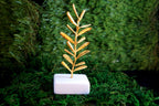 Olive Branch Sculpture: Handcrafted Brass - Wedding or Home Decor