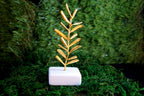 Real Olive Branch Sculpture, Handmade Minimalist Home Decor, Statue for House Decoration, Gift for Health & Luck, Sustainable Recycled Brass