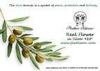 Botanical Olive Leaf Necklace - Real Pressed Brass, Gold Finish