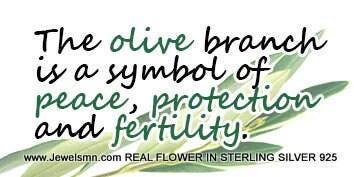 Botanical Olive Leaf Necklace, Gold-Plated Brass & Black Rhodium (Adjustable Chain)