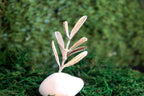 Olive Branch Decor on Sea Stone - Gold-Plated Brass