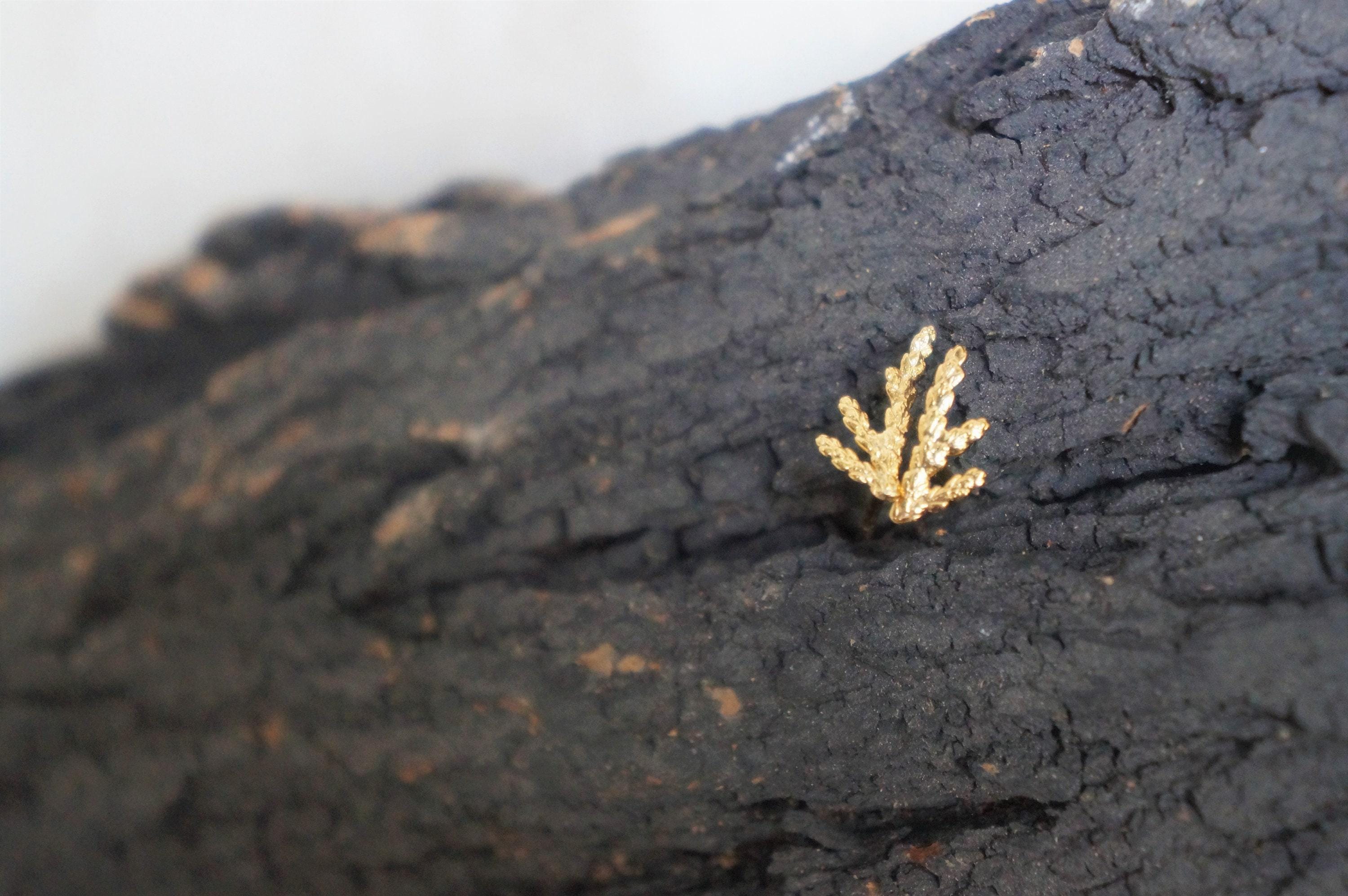 Silver Stud Earrings: Delicate Cypress Leaf - Gold Plated Finish