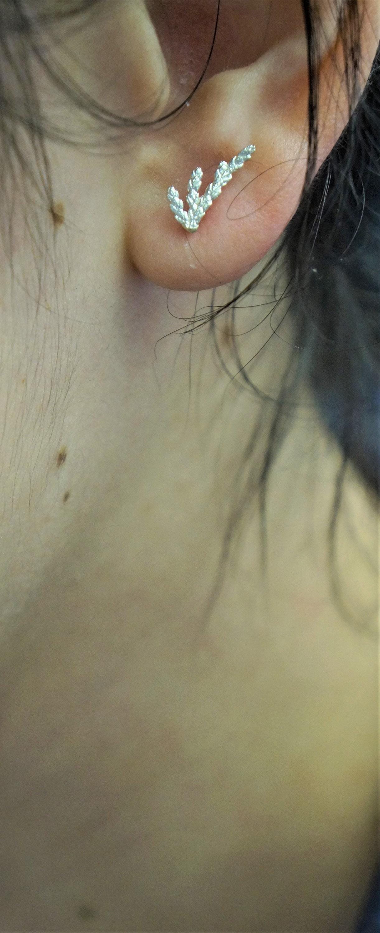 Tiny Twig Stud Earrings: Cypress Leaf Design in Silver or Gold