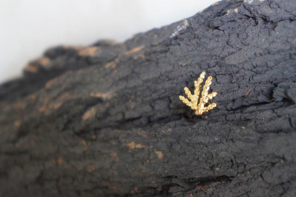 Tiny Twig Stud Earrings: Cypress Leaf Design in Silver or Gold
