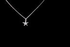 Tiny Real Starfish Necklace - Minimalist Eco-Friendly Jewelry