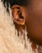 Gold Plated Sea Shell Stud Earrings - Delicate Minimalist Jewelry
