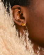 Minimalistic Sea Shell Earrings: 14k Gold on Sterling Silver Studs