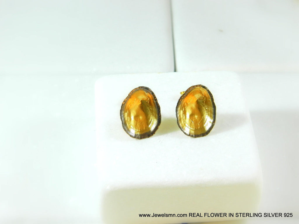 Two-Tone Limpet Stud Earrings - Gold-Plated Brass