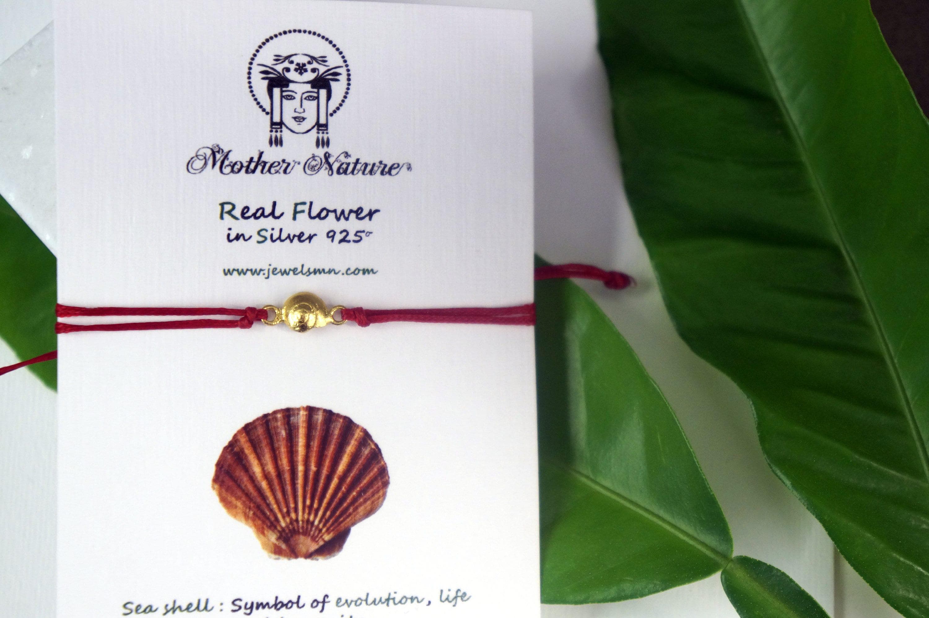 Adjustable Wax Cord Bracelet: Real Sea Shell - Sterling Silver