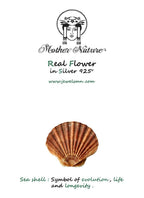 Clam Shell Earrings: Handmade Silver Sea Shells (Boho Style)