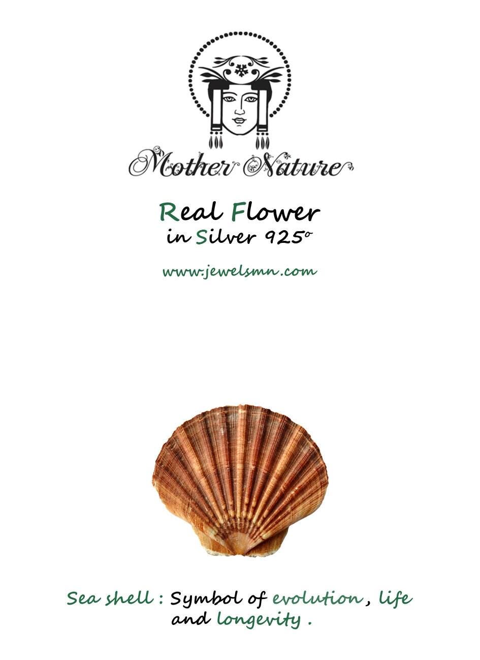 Clam Shell Earrings: Handmade Silver Sea Shells (Boho Style)