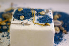Tiny Sea Shell Necklace: Summer Inspired Jewelry (Sterling Silver)
