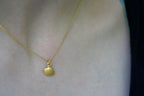 Seashell Pendant Necklace: Natural Silver Shell - Sterling Chain