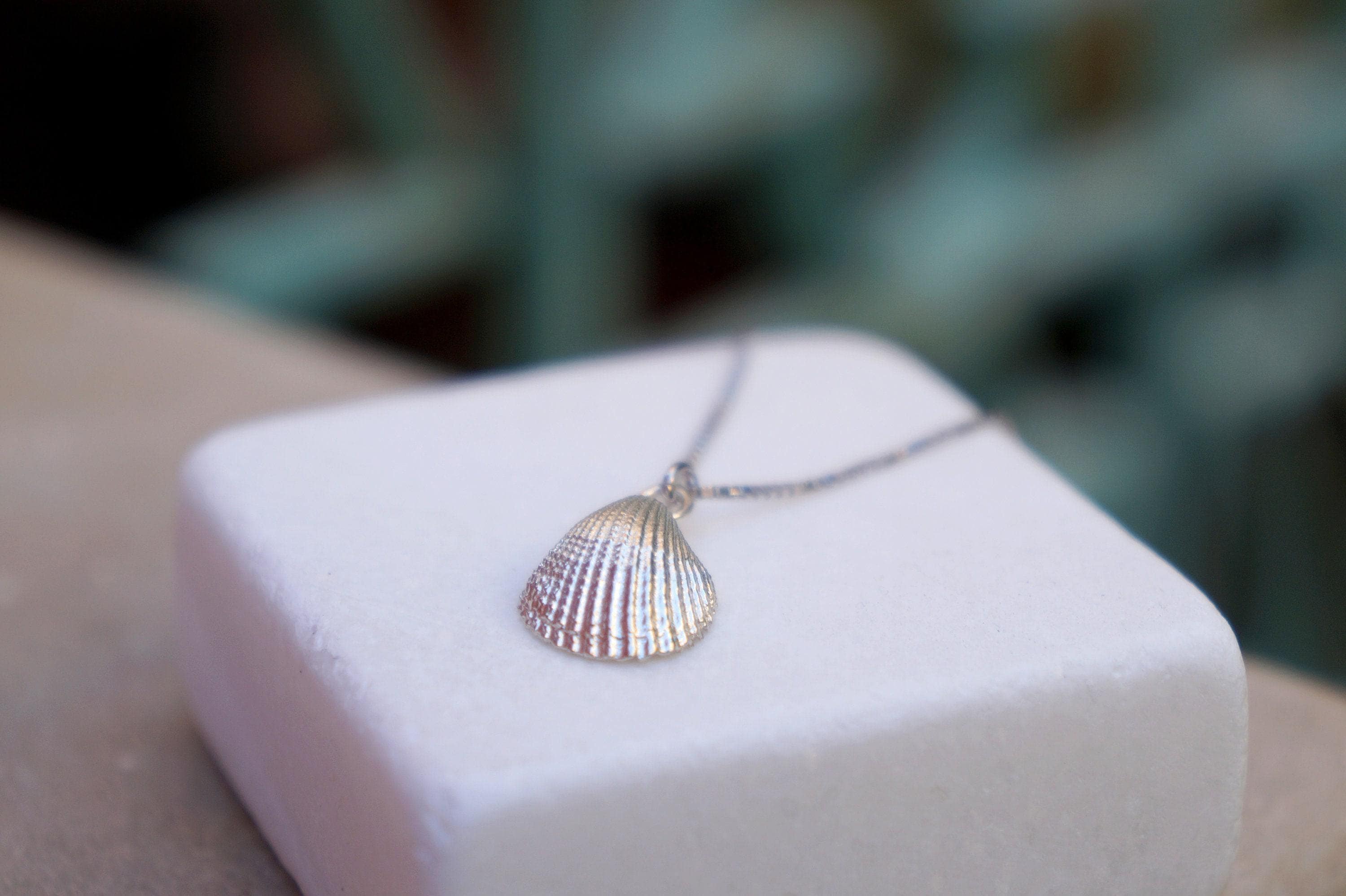 Minimalist Sea Shell Necklace, Handmade Beach Jewelry, Organic Sea Pendant, Gift for Growth & Renewal, Gold or Sterling Silver 925