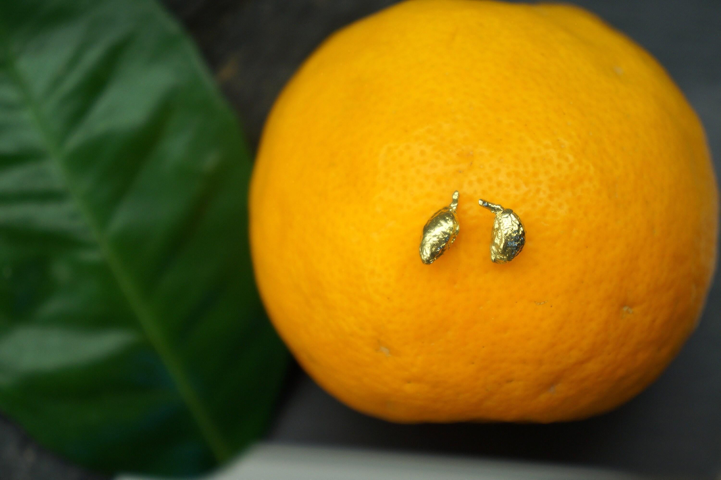 Dainty Olive Fruit Earrings, Handmade Minimalist Jewelry, Organic Tree Studs, Gift for Longevity & Luck, Gold on Sterling Silver 925