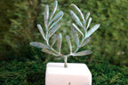 Olive Branch Tree Sculpture, Gold-Plated or Silver-Plated Brass, Home Decor, Decorative Sculpture, Greek-Style Decoration