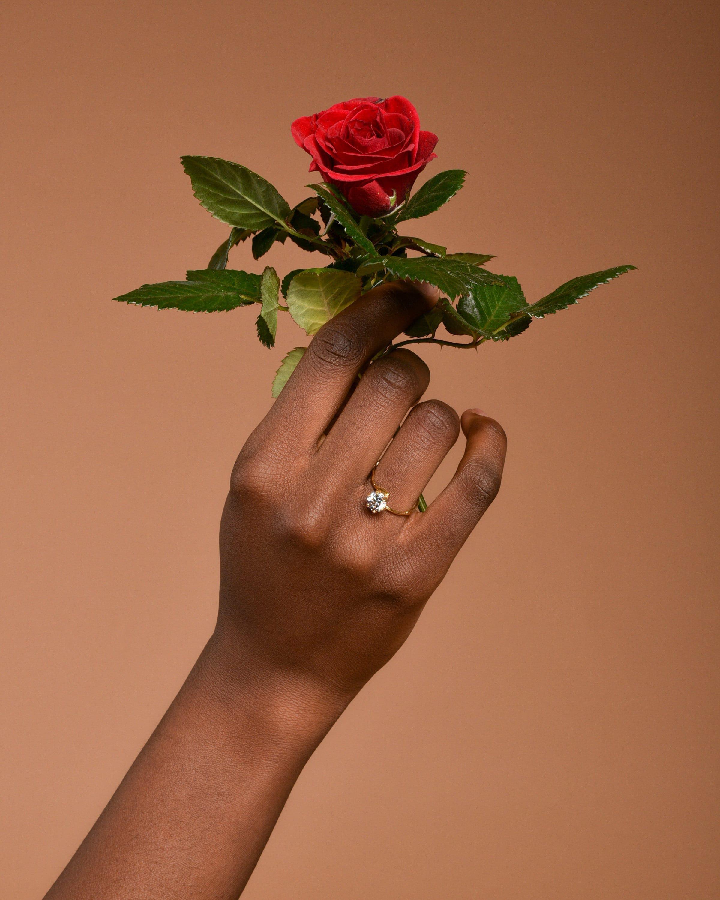Dainty minimal jasmine twig ring, 14k Gold on sterling silver with Ethical European Lab created zircon