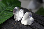 Real Ivy Leaf Earrings, Handmade Nature Jewelry, Organic Forest Studs or Dangles, Gift for Resilience & Rejuvenation, Sterling Silver 925