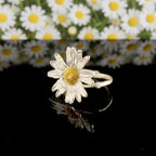 Nature Inspired Daisy Ring - Gold Plated Recycled Brass with Black Rhodium