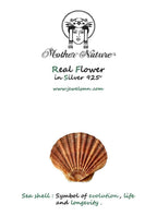 Sea shell earrings 14k Goldplated on sterling silver.