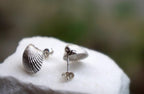 Sea shell earrings 14k Goldplated on sterling silver.