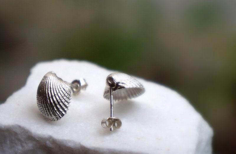Sea shell earrings 14k Goldplated on sterling silver.