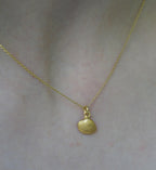 Minimalist Tiny Real Sea Shell, chain necklace 14 Gold on sterling silver. Summer Pendant Necklace from Mother Nature Jewelry.