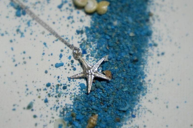 Real Starfish Pendant with Chain, 14K Gold Plated Sterling Silver 925 Necklace, Handmade Minimalist Jewelry Gift, Birthday Gift for Women