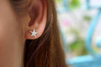 Real Starfish Stud Earrings, Handmade Minimalist Jewelry, Organic Summer Beach Fashion, Gift for Luck, Gold or Sterling Silver 925