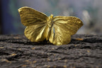Real Butterfly Pin, Handmade Nature Jewelry, Organic Gold Brooch, Gift for Freedom & Health, Eco Sustainable Sterling Silver 925