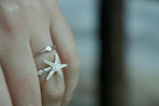 Real Starfish Silver Ring, Handmade Minimalist Jewelry, Organic Beach Band, Gift for Health & Resilience, Sterling Silver 925