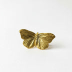 Real Butterfly Pin, Handmade Nature Jewelry, Organic Gold Brooch, Gift for Freedom & Health, Eco Sustainable Sterling Silver 925