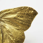 Real Butterfly Pin, Handmade Nature Jewelry, Organic Gold Brooch, Gift for Freedom & Health, Eco Sustainable Sterling Silver 925