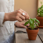 Real Leaf Loop Ring, Handmade Minimalist Jewelry, Botanical Silver Band, Gift for Luck & Longevity, Eco Sustainable Sterling Silver 925